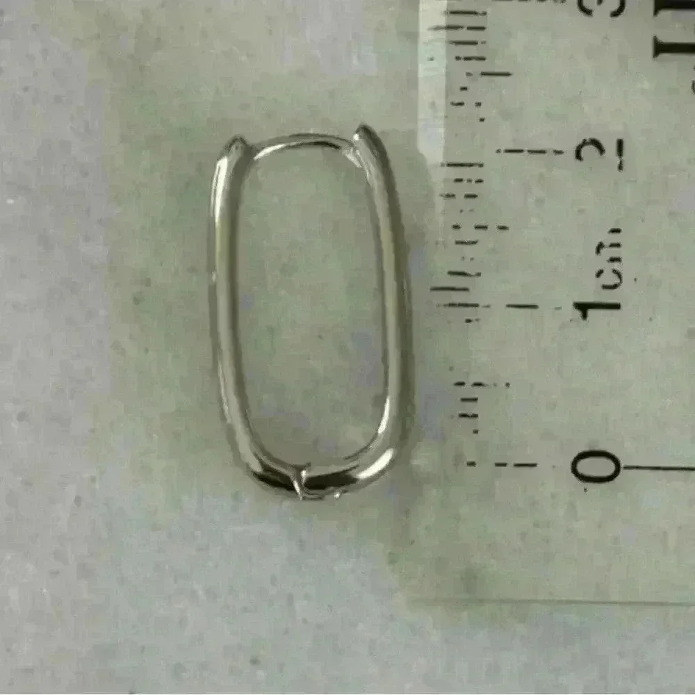 Sterling Silver Bella Oval Hoop Earrings
Brand New - Picture 3 of 4